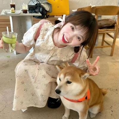 时光大盗